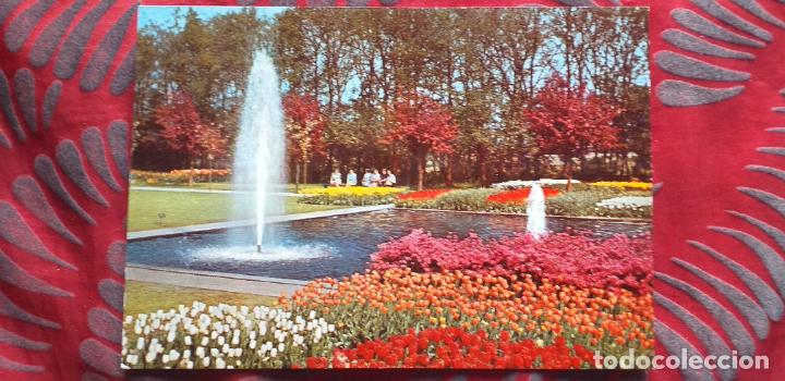 Postais: NEDERLAND-HOLANDA-V53-NO ESCRITA-HOLLAND-BLUMENLAND