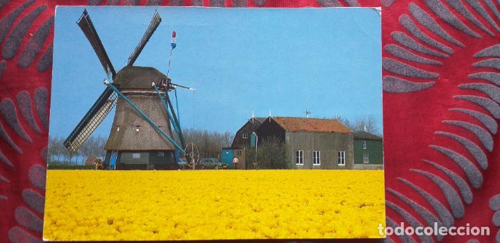 Postales: NEDERLAND-HOLANDA-V53-ESCRITA-HOLLAND