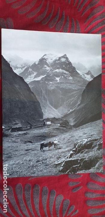Postales: SUIZA-V53-NO ESCRITA-BAUMGARTENALP MIT TODI 3623 M U.M.