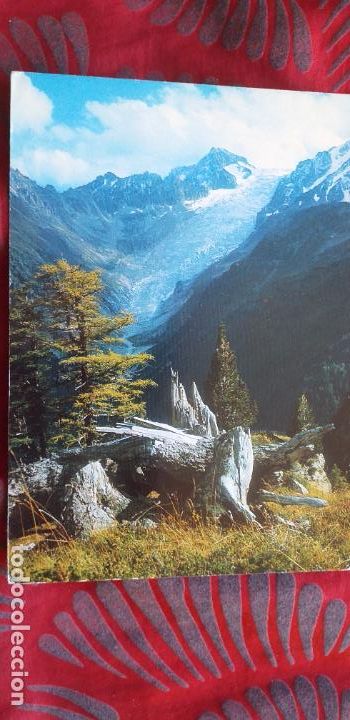 Postcards: SUIZA-V53-ESCRITA-GLACIER DU TRIENT