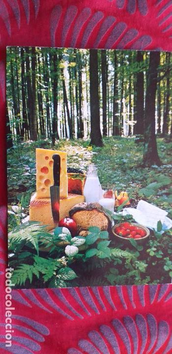 Postcards: SUIZA-V53-ESCRITA-EL AUTENTICO QUESO SUIZO