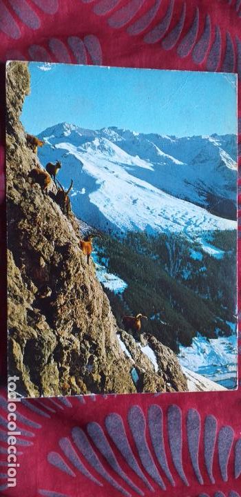 Postkarten: SUIZA-V53-DAVOS