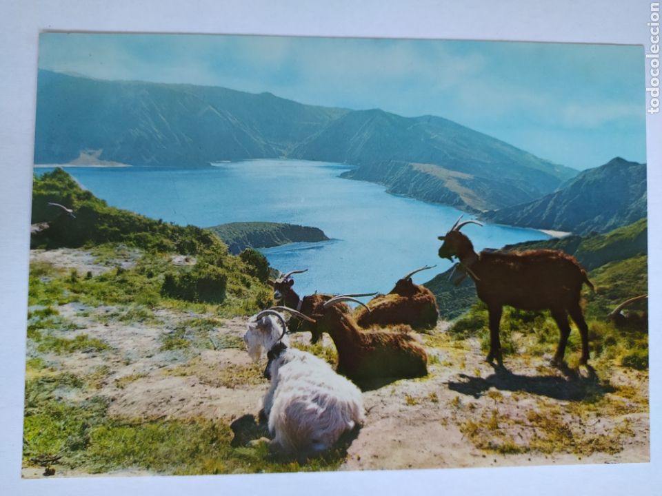 Postales: Las azores (a&ccedil;ores)- San Miguel - N&ordm; 11 - Um aspecto da lagoa do fugo S/C