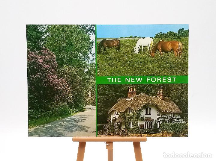 Postales: Postal 2570120 New Forest (Inglaterra)
