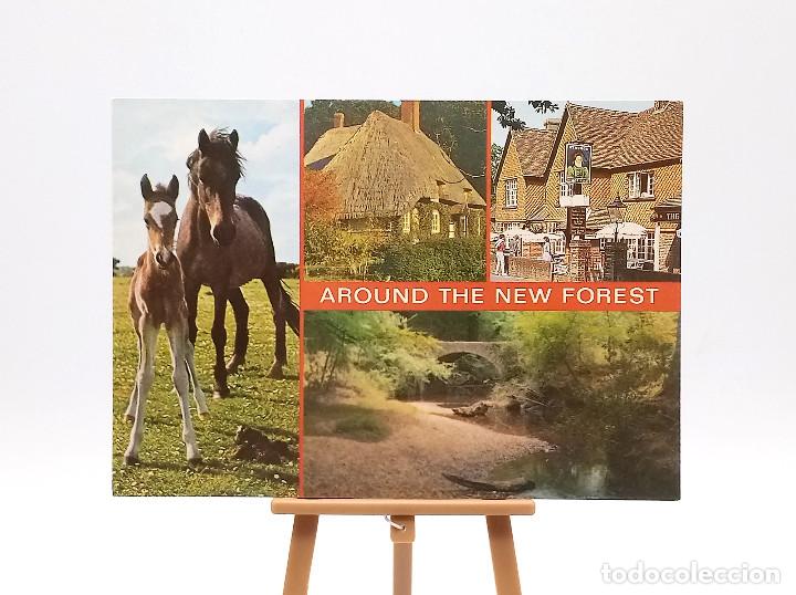 Postales: Postal 2570105 New Forest (Inglaterra)