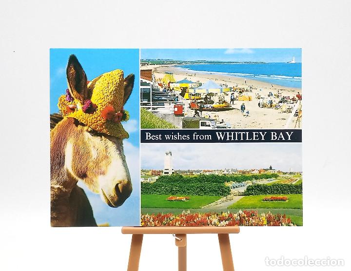 Postales: Postal 6658 Whitley Bay (Inglaterra)