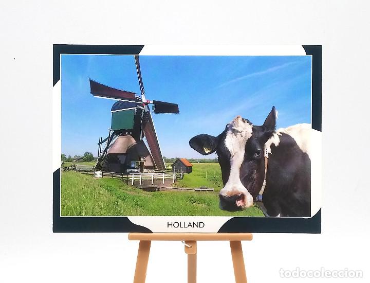 Postales: Postal de Holanda (Pa&iacute;ses Bajos)