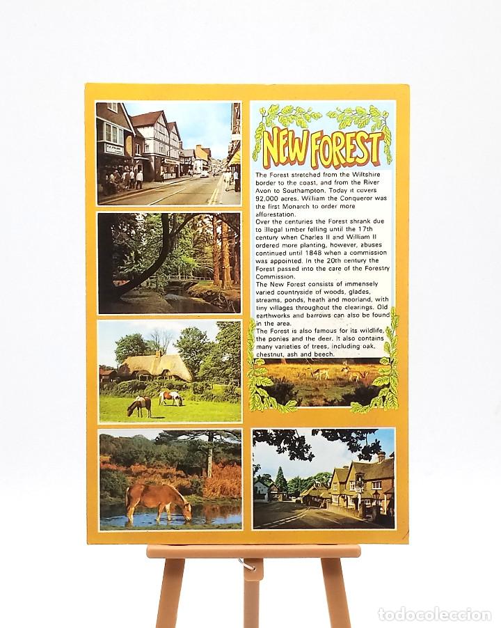 Postcards: Postal 25740 New Forest (Inglaterra)
