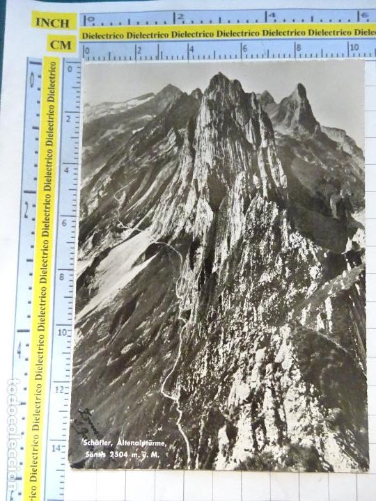 Cartoline: POSTAL DE AUSTRIA. SCH&Auml;FLER ALTENALPT&Uuml;RME. 3650
