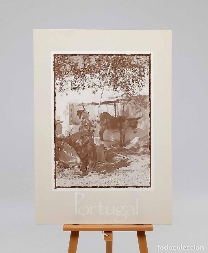 Postales: Postal 33 Portugal