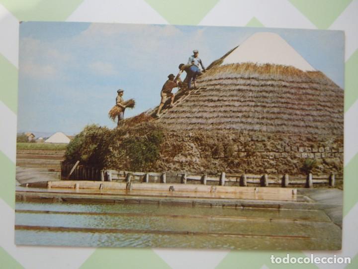 Postais: Postal de cobertura de sal, Aveiro (Portugal)