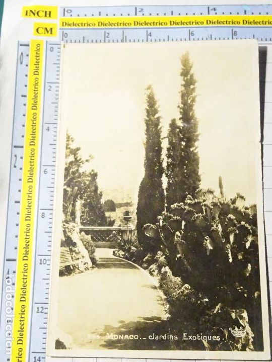 Postkarten: ANTIGUA POSTAL DE M&Oacute;NACO, MONTECARLO. JARDINES EX&Oacute;TICOS. 1317