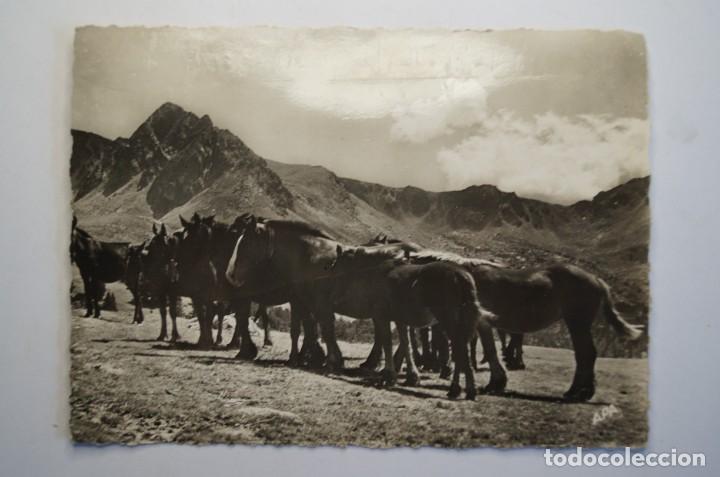 Postales: 9 POSTALES DE ANDORRA - Foto 14