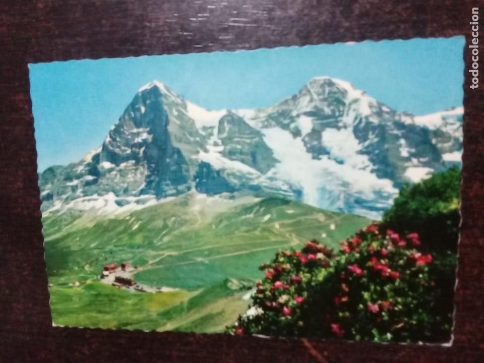 Jungfrau mit Eiger und M&ouml;nch.