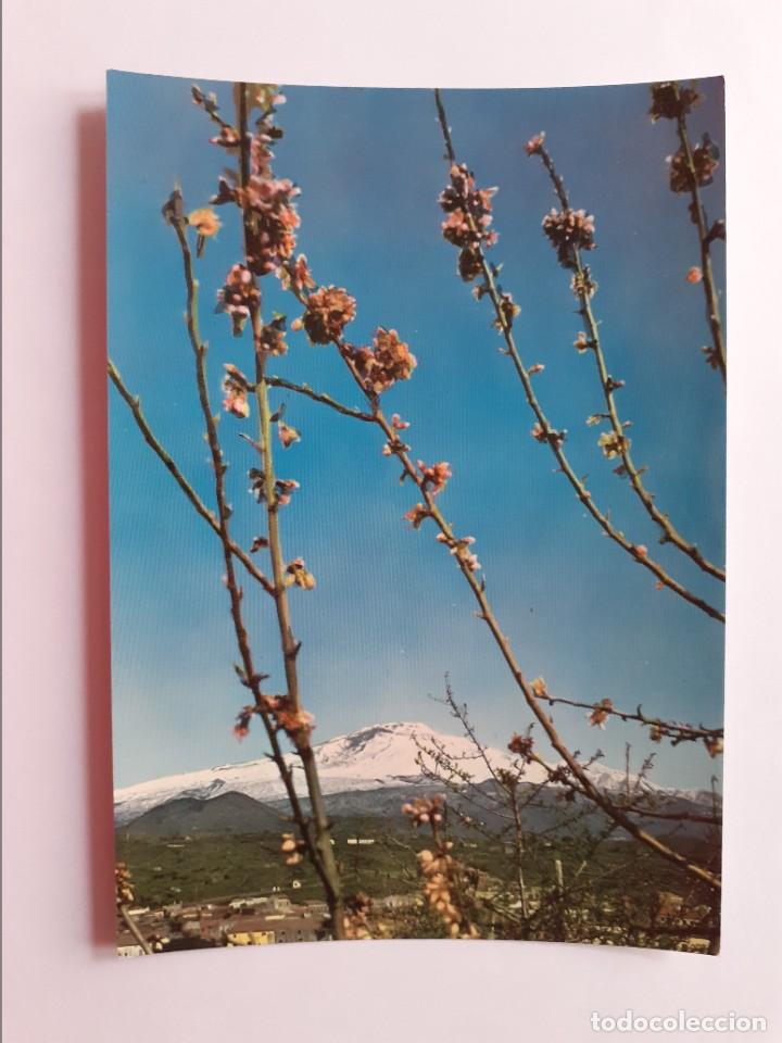 Postkarten: POSTAL - ITALIA ETNA VOLC&Aacute;N - ED. TRINACRIA CATANIA - S/C
