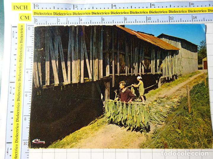 Cartes Postales: POSTAL DE FRANCIA. LA VALL'EE DE LA SEMOIS PRODUCCI&Oacute;N DE TABACO. 96