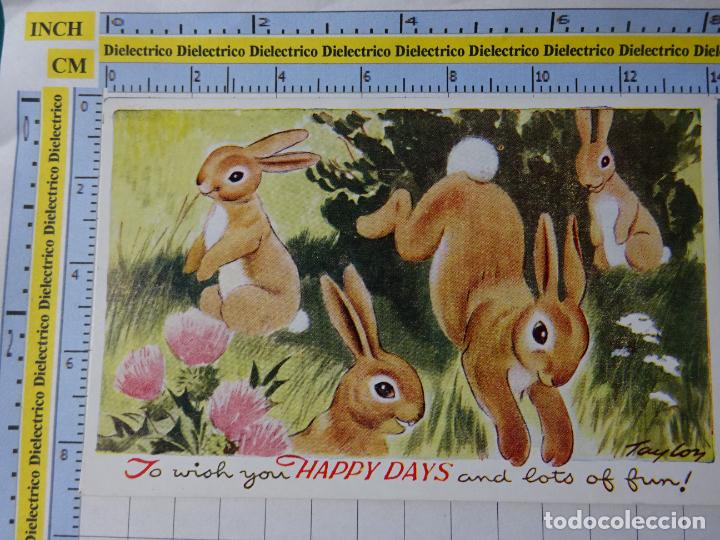 Cartes Postales: POSTAL DE REINO UNIDO. HAPPY DAYS CONEJITOS. 230