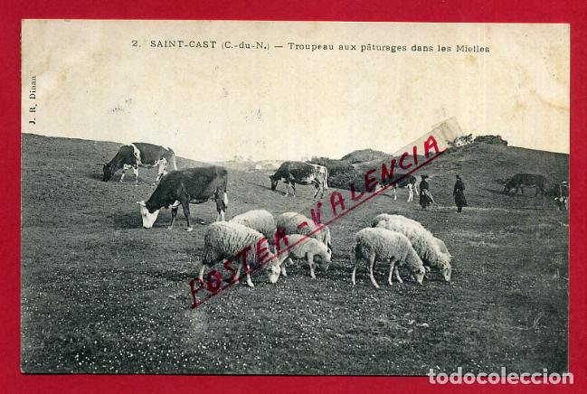 Postkarten: POSTAL FRANCIA SAINT CAST P87832 B