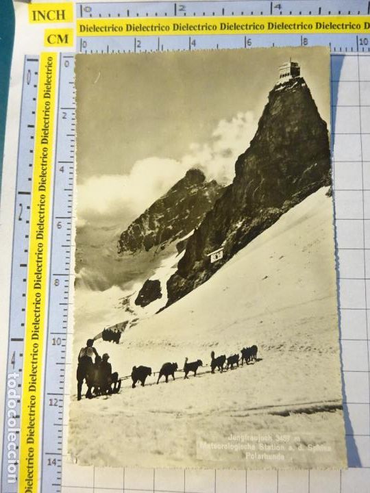 Postales: ANTIGUA POSTAL DE SUIZA. JUNGFRAUJOCH ESTACI&Oacute;N METEREOL&Oacute;GICA. PERROS TRINEO. 138