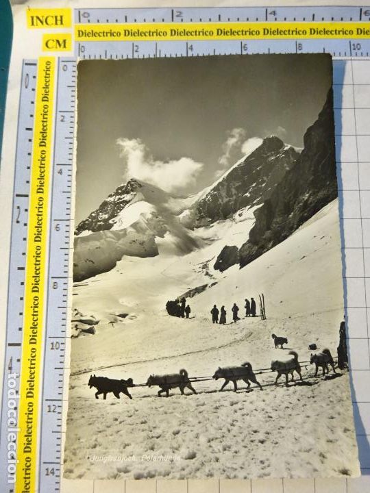 Cartes Postales: ANTIGUA POSTAL DE SUIZA. JUNGFRAUJOCH POLARHUNDE TRINEOS PERROS. 144