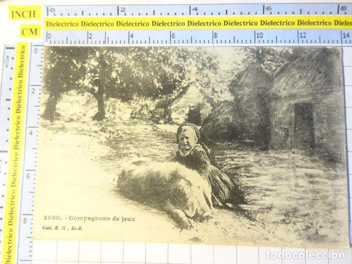 Postais: ANTIGUA POSTAL DE FRANCIA. NI&Ntilde;A PERRO. COMPAGNONS DE JEUX. 17