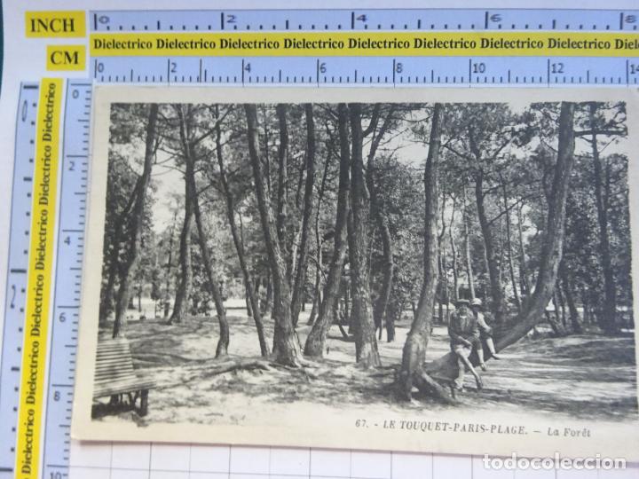 Cartoline: ANTIGUA POSTAL DE FRANCIA. LE TOUQUET PARIS PLAGE LA FORET 2466