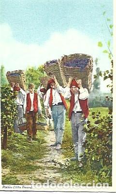 Postales: Portugal ** & Postal, Pinh&atilde;o, Trabajadores Transportando la Uva Vendimia (131)
