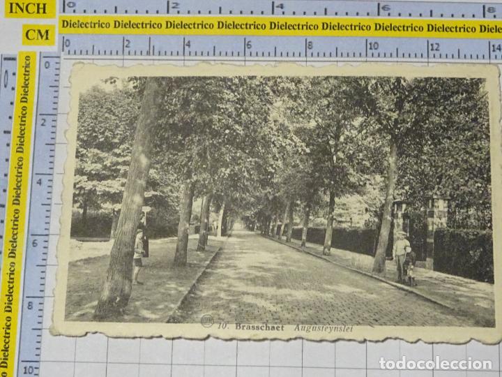 Cartoline: ANTIGUA POSTAL DE B&Eacute;LGICA. BRASSCHAET AUGUSTEYNSLEI. 274