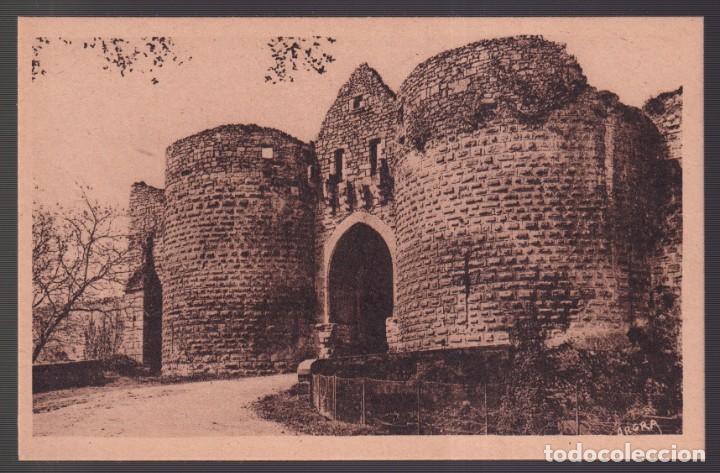 Postales: Francia-24- Domme. *La Porte des Tours...* Nueva.