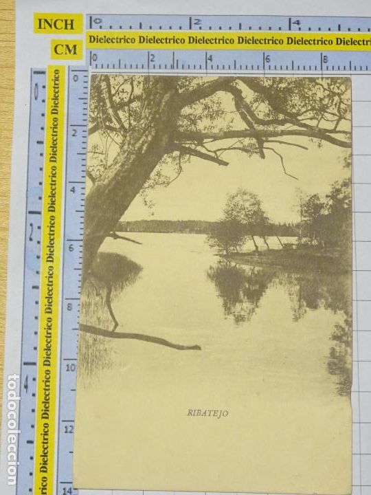 Postais: ANTIGUA POSTAL DE PORTUGAL. RIBATEJO. 2493