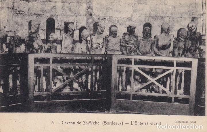 Cartoline: 5 Caveau de St-Michel Bordeaux - L' Enterr&eacute; vivant