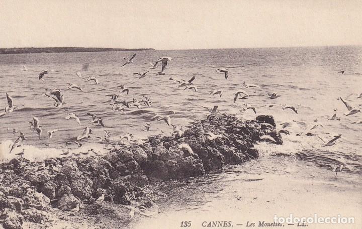 Postales: 135 Cannes - Les Mouettes / Ll. - Foto 1