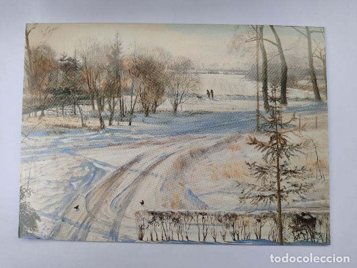 Postcards: POSTAL UNICEF. POLLAS DE AGUAS BUSCANDO. REINO UNIDO. TDKP20N