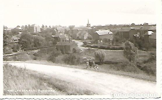 Postales: FESCHAUX - 4151. PANORAMA - EDITIONS MUSA - CIRCULADA 1952