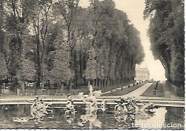 Postales: VERSAILLES - 185. BASSIN DU DRAGON ET ALL&Eacute;E D'EAU - ED. d'ART LYS - SIN CIRCULAR