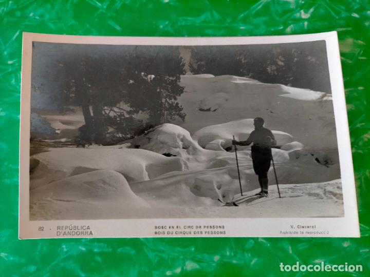 Postkarten: REP&Uacute;BLICA D'ANDORRA BOSC EN EL CIRC DE PESSONS FOTOGRAF&Iacute;A BLANCO NEGRO TARJETA POSTAL ANTIGUA