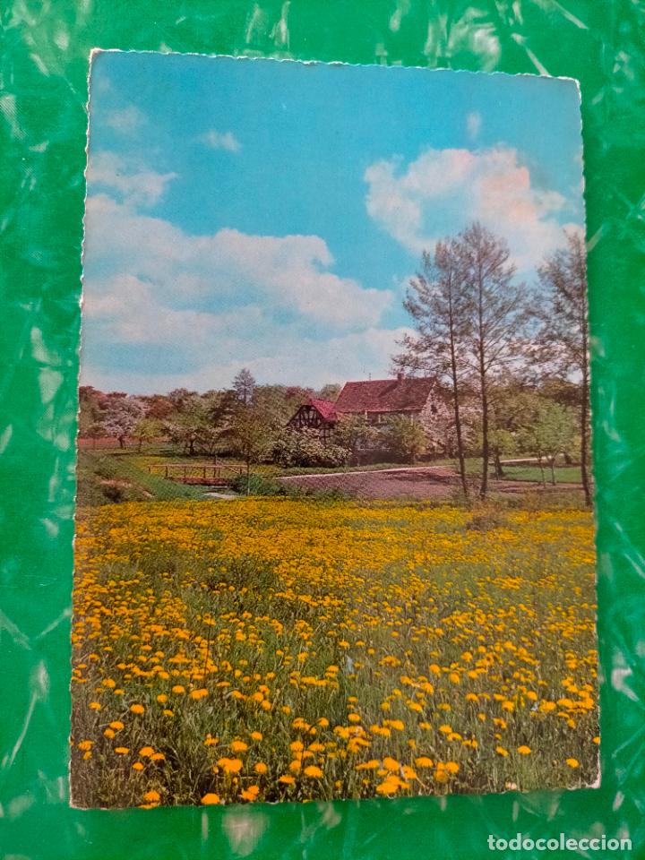 Postales: CAMPO DE FLORES AMARILLAS CON CASAS PAISAJE HOLANDA B&Eacute;LGICA FOTOGRAF&Iacute;A COLOR TARJETA POSTAL ANTIGUA
