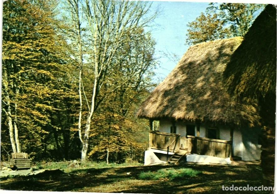 Postales: TARJETA POSTAL - ROMANIA - SIBIU - MUZEUL ETNOGRAFIC - (2579)