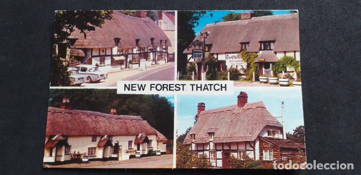 Postais: INGLATERRA-V51-SXXII-140X90mm.-NEW FOREST THATCH-CIRCULADA