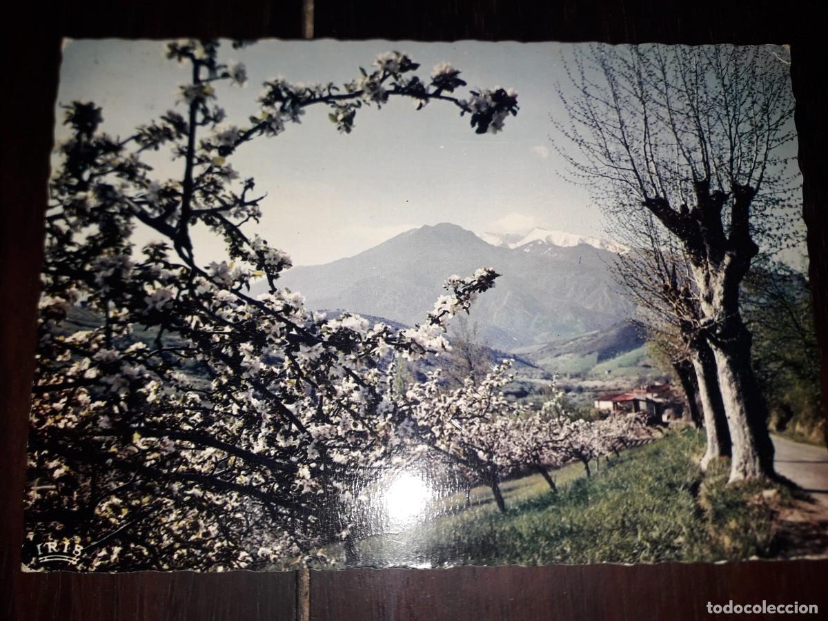 Postkarten: N&ordm; 43855 POSTAL ROUSSILLON FRANCIA