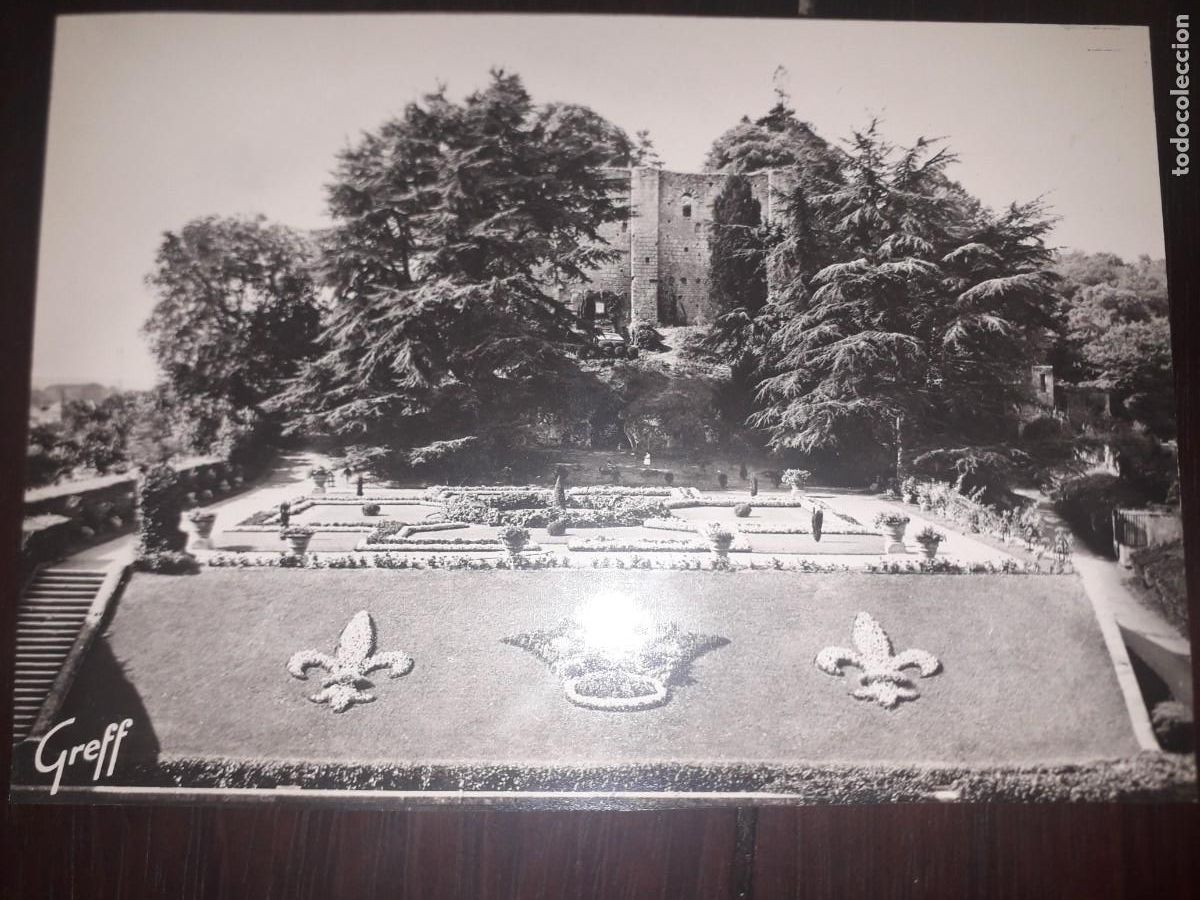 Postales: N&ordm; 44256 POSTAL CASTILLO FRANCIA LANGEAIS