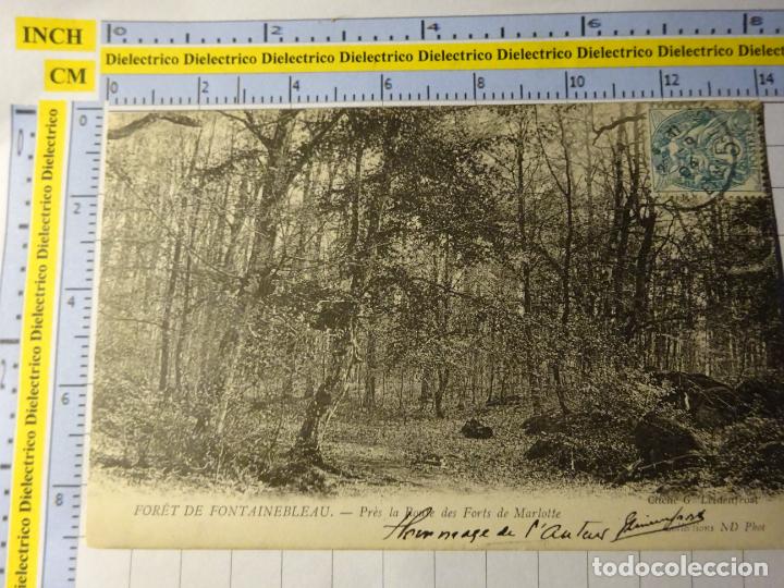 Cartes Postales: ANTIGUA POSTAL DE FRANCIA. FOR&Ecirc;T DE FONTAINEBLEAU FORTS DE MARLOTTE. 1311
