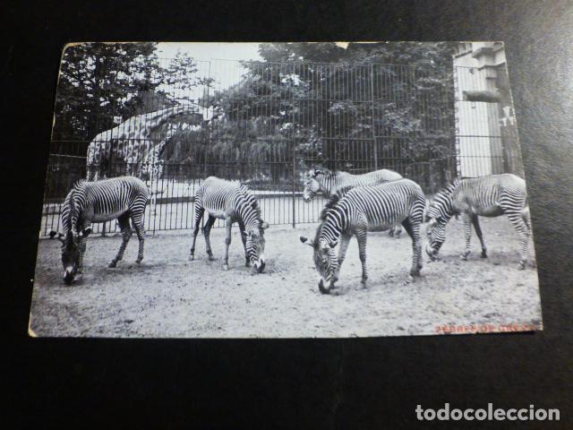 Postales: ANVERS BELGICA POSTAL - Foto 1