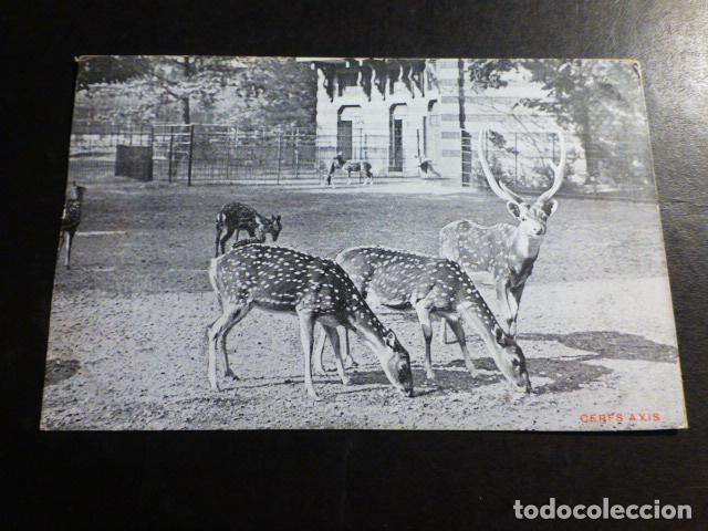 Postales: ANVERS BELGICA POSTAL - Foto 1