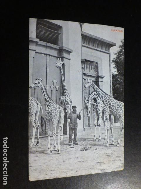 Postales: ANVERS BELGICA POSTAL - Foto 1