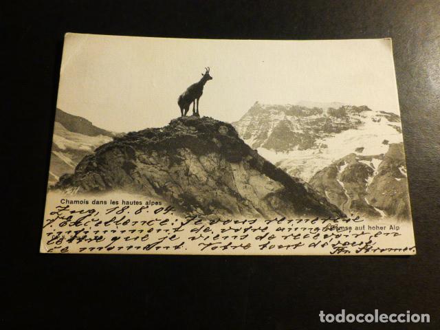 Postales: ALPES SUIZA POSTAL - Foto 1