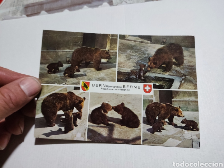 Postales: Postal Suiza Bern ,osos - Foto 1