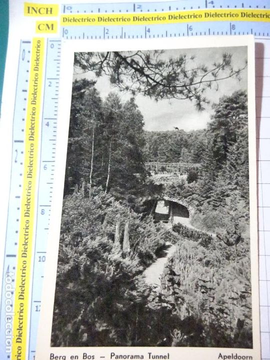 Cartes Postales: ANTIGUS POSTAL DE HOLANDA PAISES BAJOS. APELDOORN BERG EN BOS PANORAMA TUNNEL. 3986