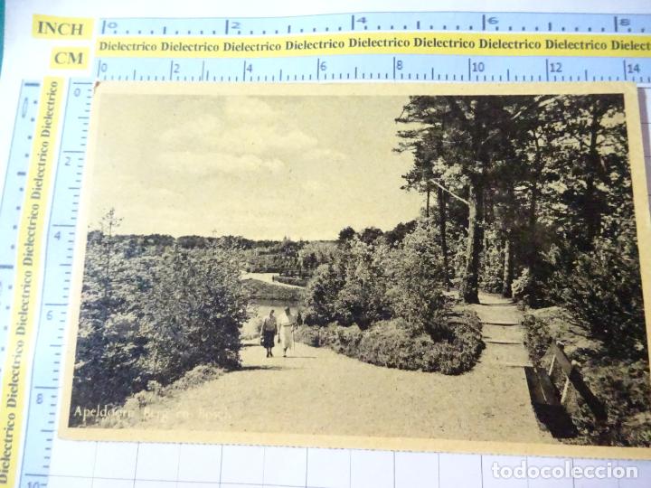 Cartoline: ANTIGUS POSTAL DE HOLANDA PAISES BAJOS. APELDOORN BERG EN BOSCH. 4003