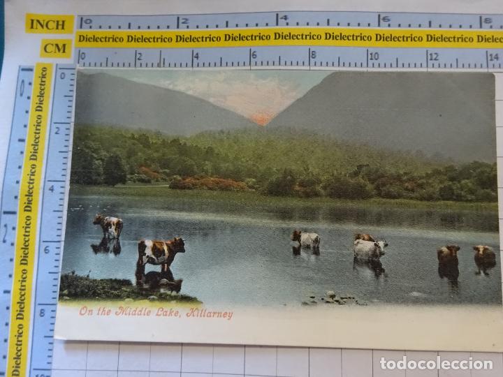 Postais: ANTIGUA POSTAL DE REINO UNIDO GRAN BRETA&Ntilde;A. ON THE MIDDLE LAKE KILLARNEY 2137